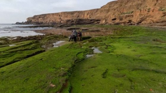 مغرب الحضارة… اكتشاف أكبر وأقدم مجتمع زراعي بالمغرب عاش قبل 5 آلاف سنة