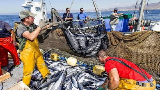 بعد اسبانيا وبلجيكا… إيطاليا تصفع محكمة العدل الدولية وتعلن عن تشبتها بالشراكة بين المغرب والاتحاد الأوروبي